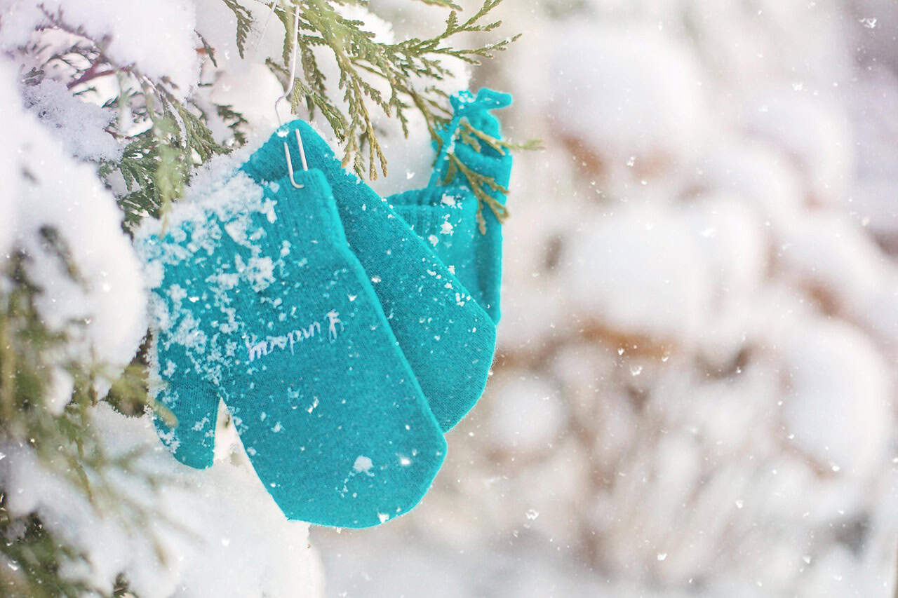 Bright blue mittens hang on a snow-covered evergreen branch, surrounded by a serene winter landscape, capturing a peaceful, snowy moment.